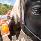 HorseCare Vachtverzorging