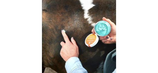 Bekijk deze afbeelding van HorseCare Speciale Verzorgingscrème op EM-Store.eu