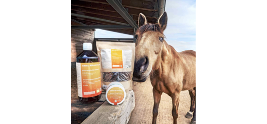 Bekijk deze afbeelding van HorseCare Speciale Verzorgingscrème op EM-Store.eu