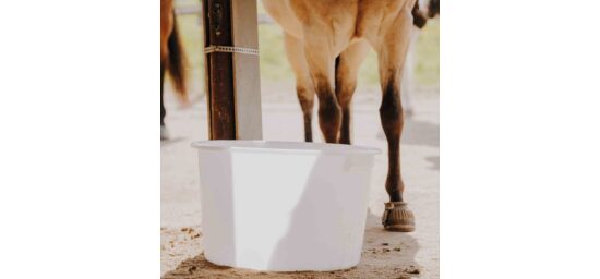 Bekijk deze afbeelding van HorseCare Drinkbak op EM-Store.eu