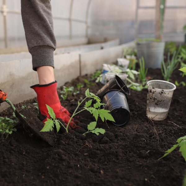 Afbeelding voor product categorie Tuin op EM-Store.eu.