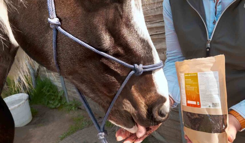 De foto van de blog HorseCare Bokashi Plus 1 kilo van EM-Store.eu