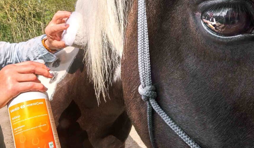 De foto van de blog HorseCare vachtverzorging 1 l. van EM-Store.eu